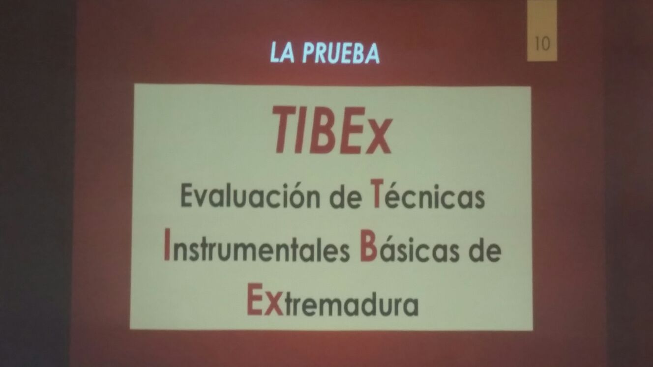 jornadas-primavera-apoex-2017 (10)