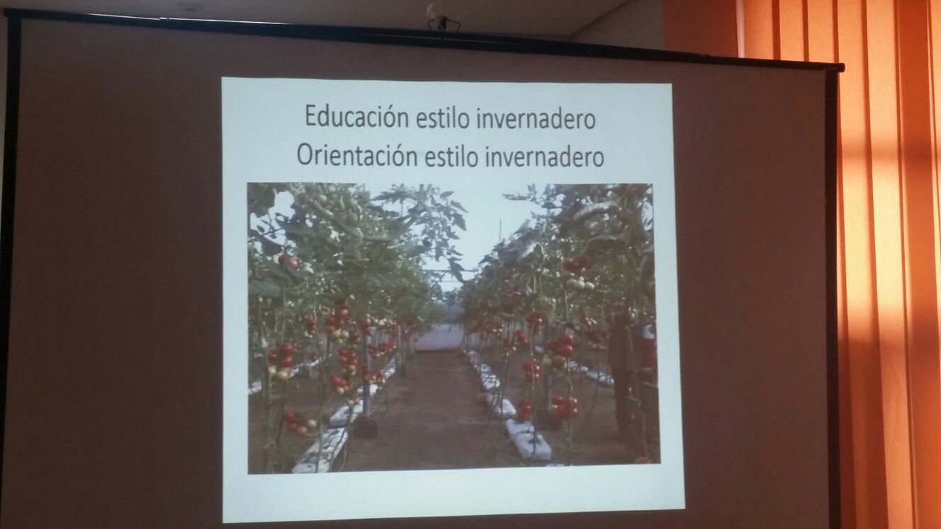 jornadas-primavera-apoex-2017 (11)