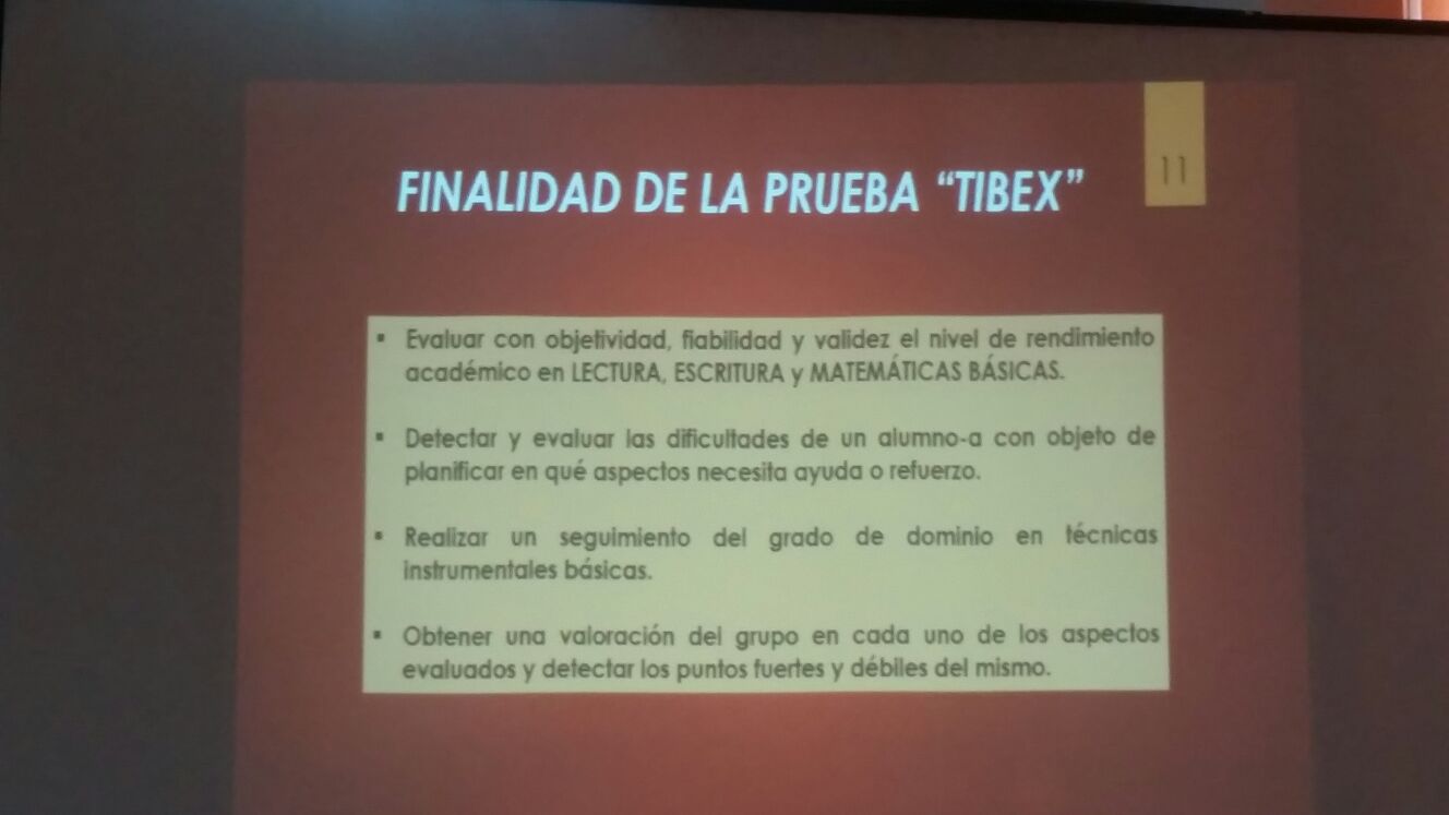 jornadas-primavera-apoex-2017 (17)