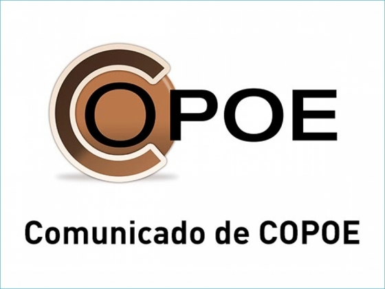 Comunicado de COPOE para reclamar que los orientadores puedan impartir la Psicolog&iacute;a en Bachillerato