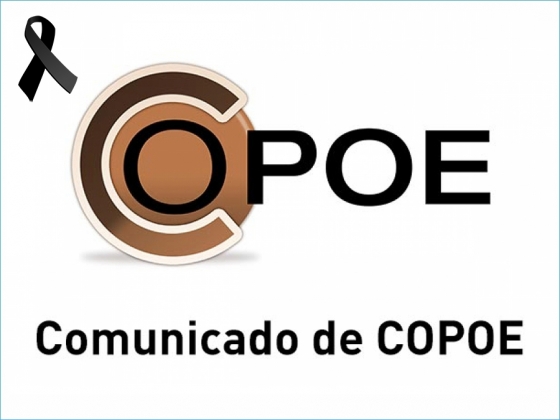 Comunicado de COPOE ante la tr&aacute;gica noticia del suicidio de una alumna en Madrid